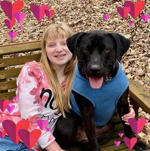 Meet your Posher, Ellie